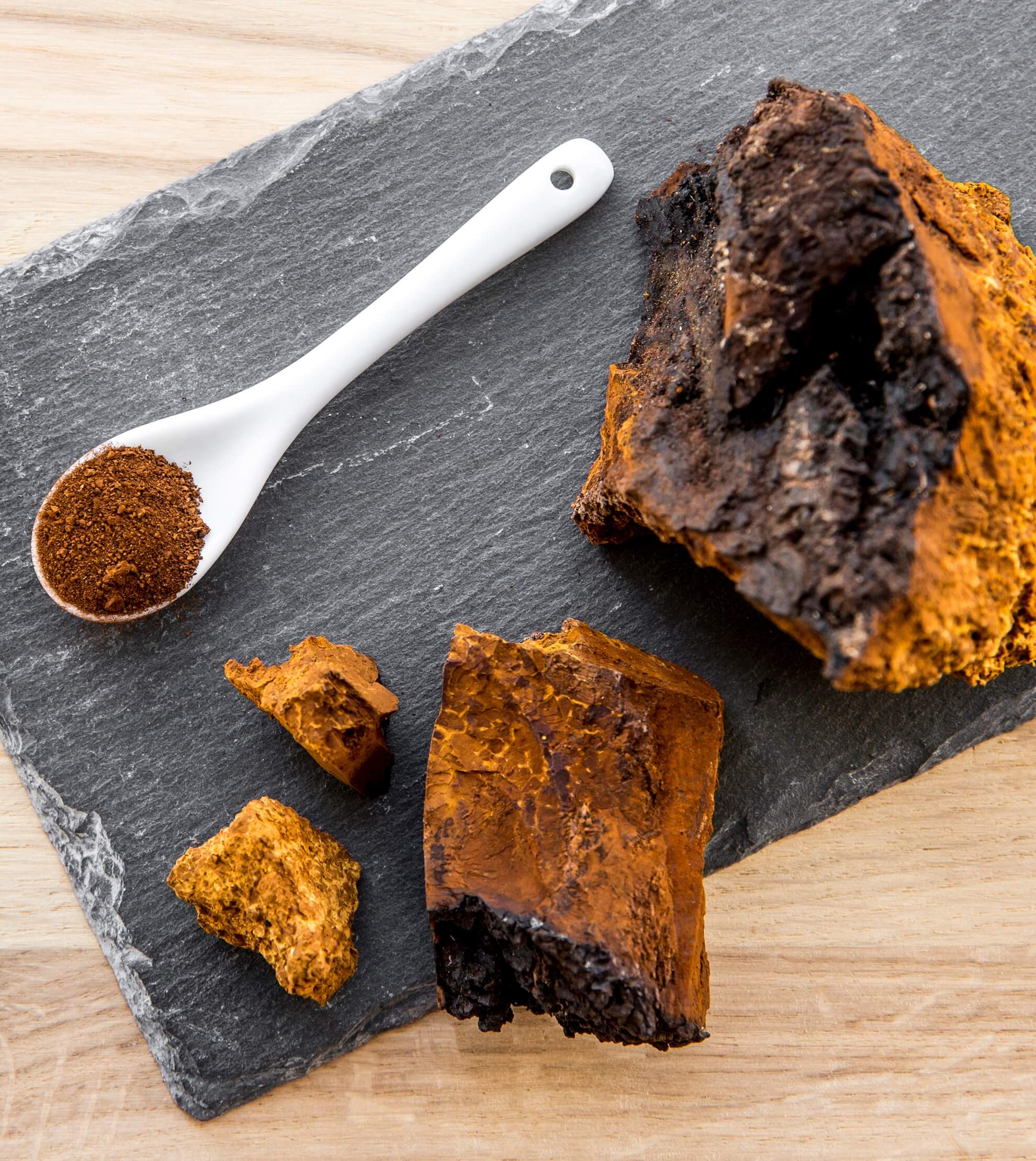CHAGA ekstrakt DER 30:1 (40% polisacharydów), proszek 50 g - Image 4