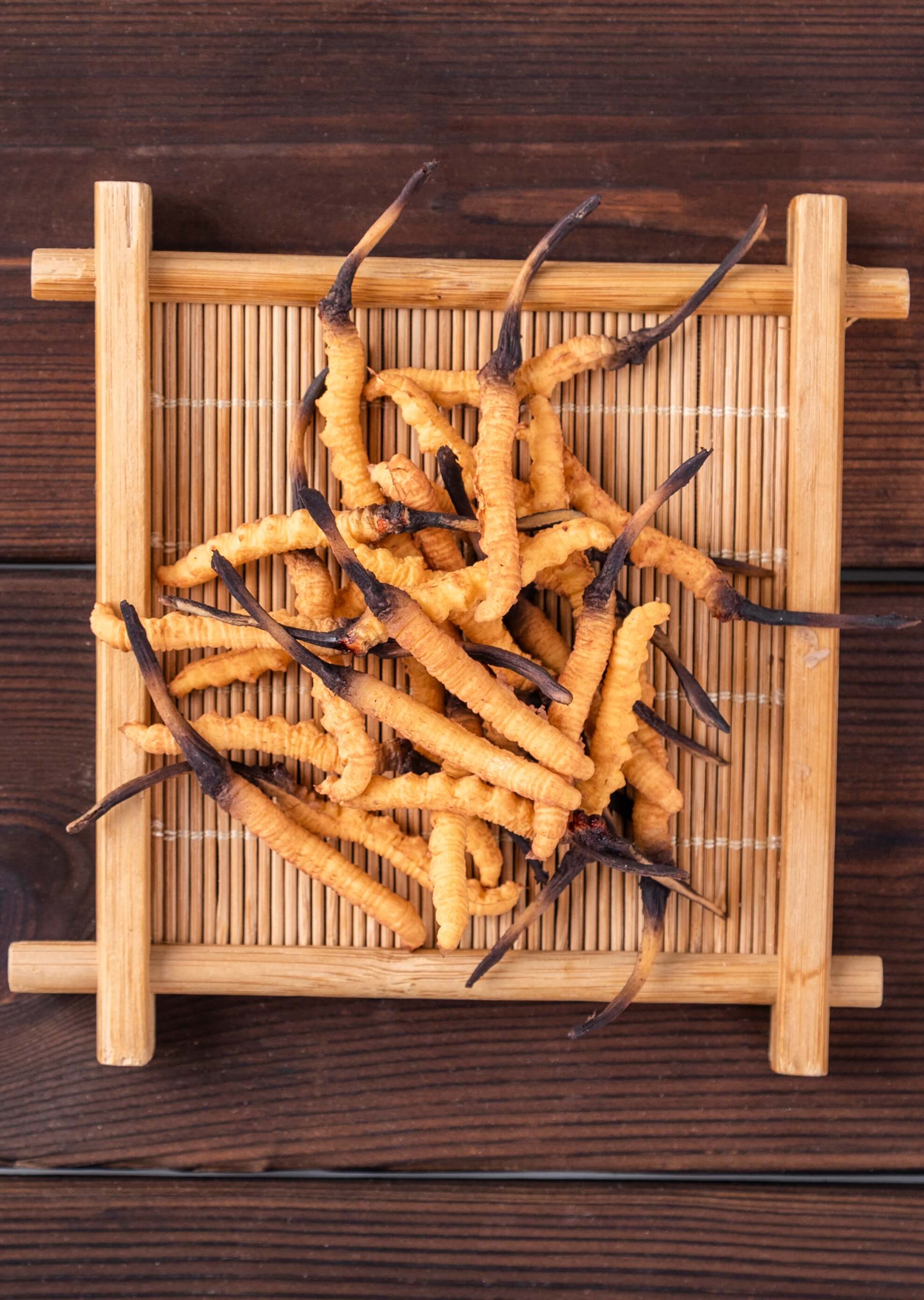 Cordycpes sinensis DER 40:1 (40% polisacharydów, 7% kwasu kordycepsowego), proszek 50 g - Image 5