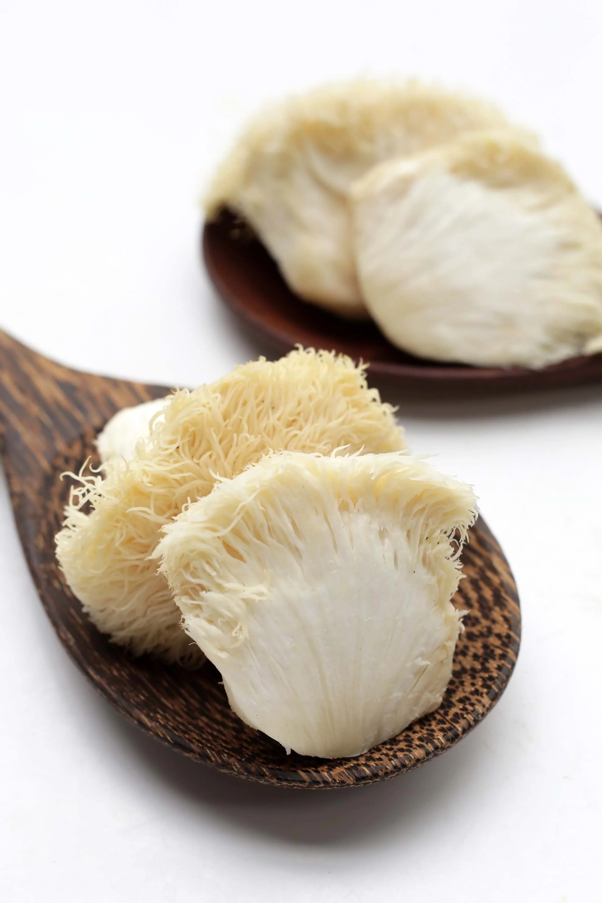 LION'S MANE 555 mg 90 kapsułek soplówka jeżowata DER 10:1 (50% polisacharydów, 30% beta-glukanów) - Image 5