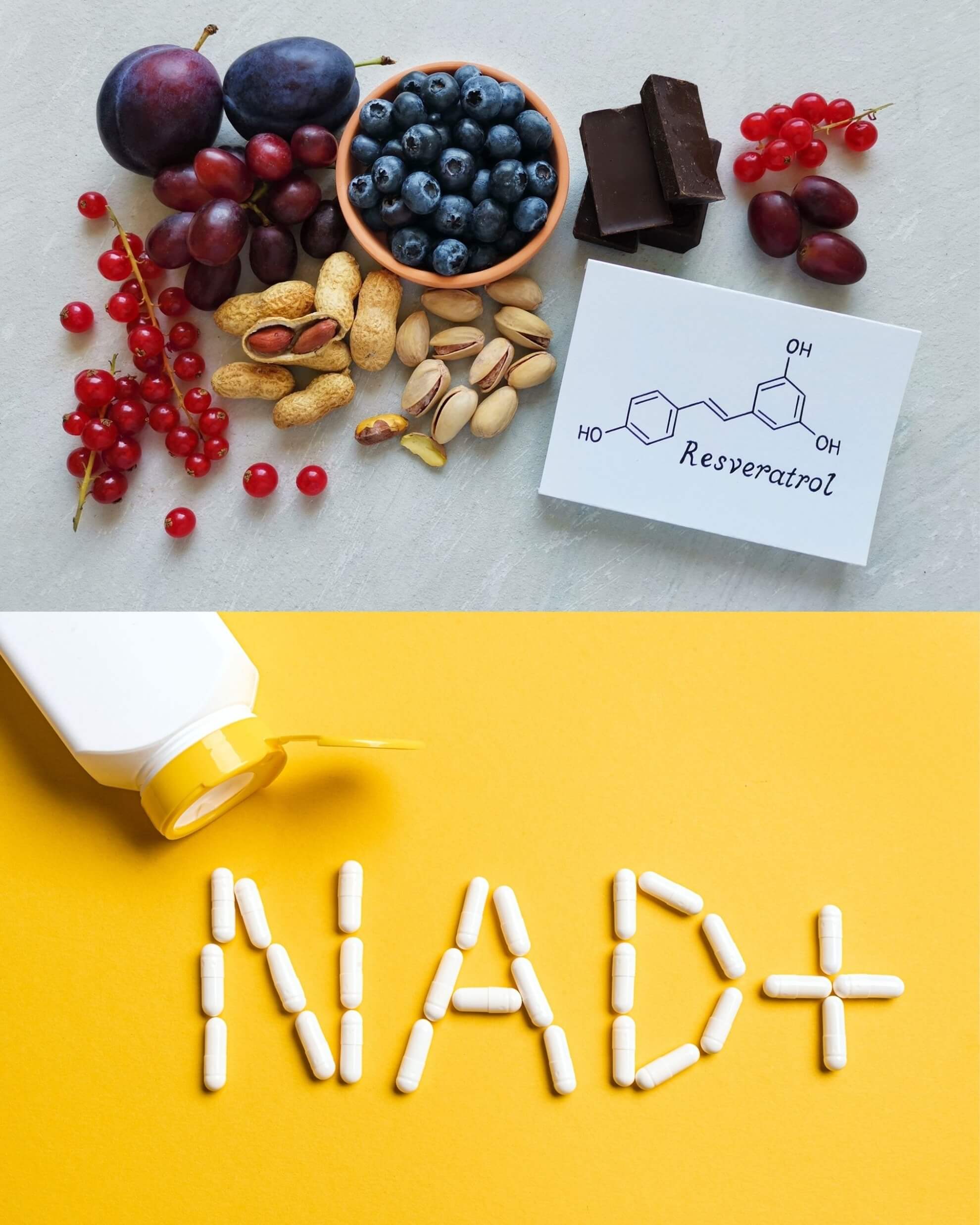 Resveratrol + NAD⁺ 500 mg - 60 kapsułek - Image 4