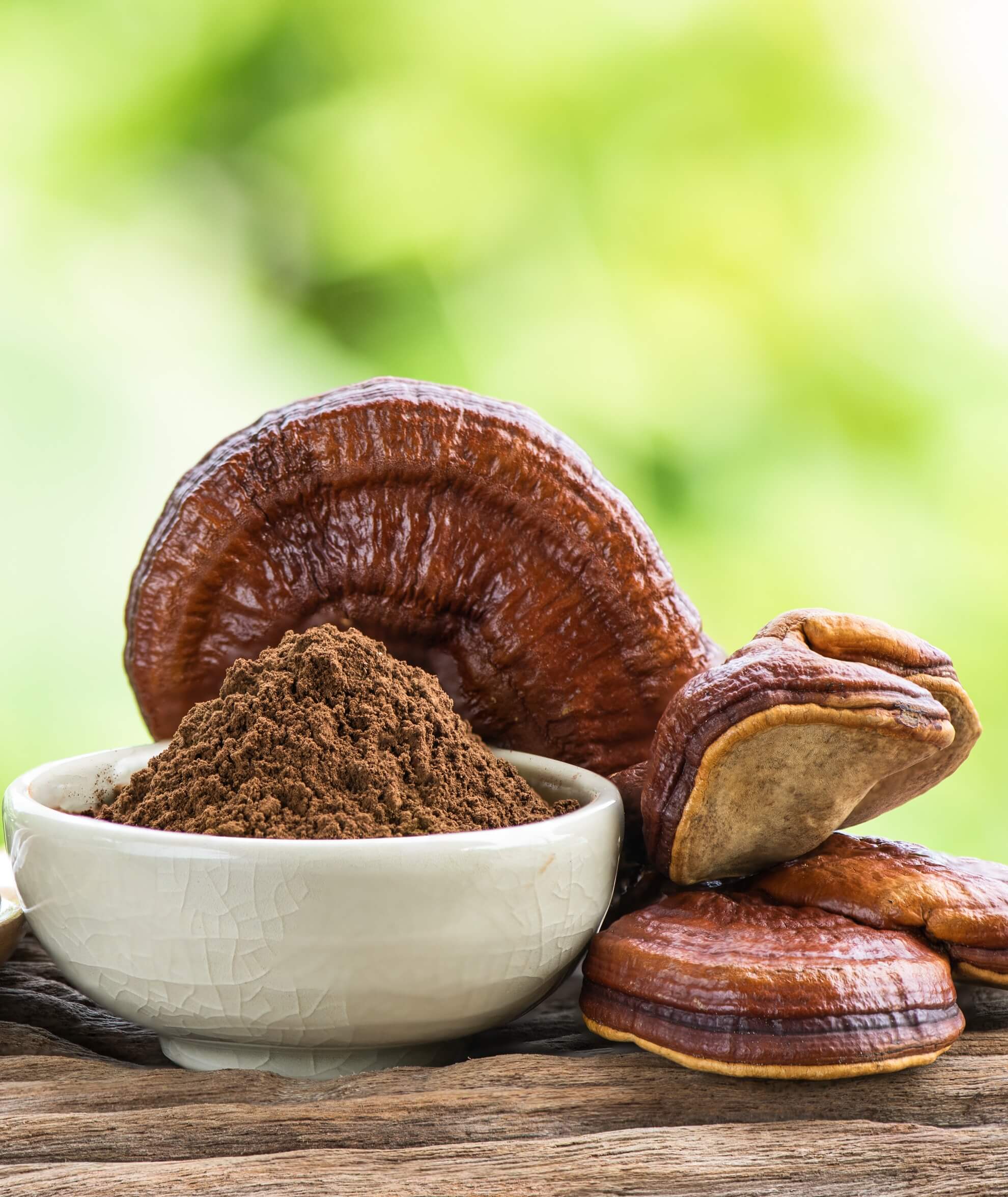 REISHI ekstrakt DER 12:1 (50% polisacharydów, 30% beta-glukanów, 2% triterpenów) 90 kapsułek 500 mg - Image 5